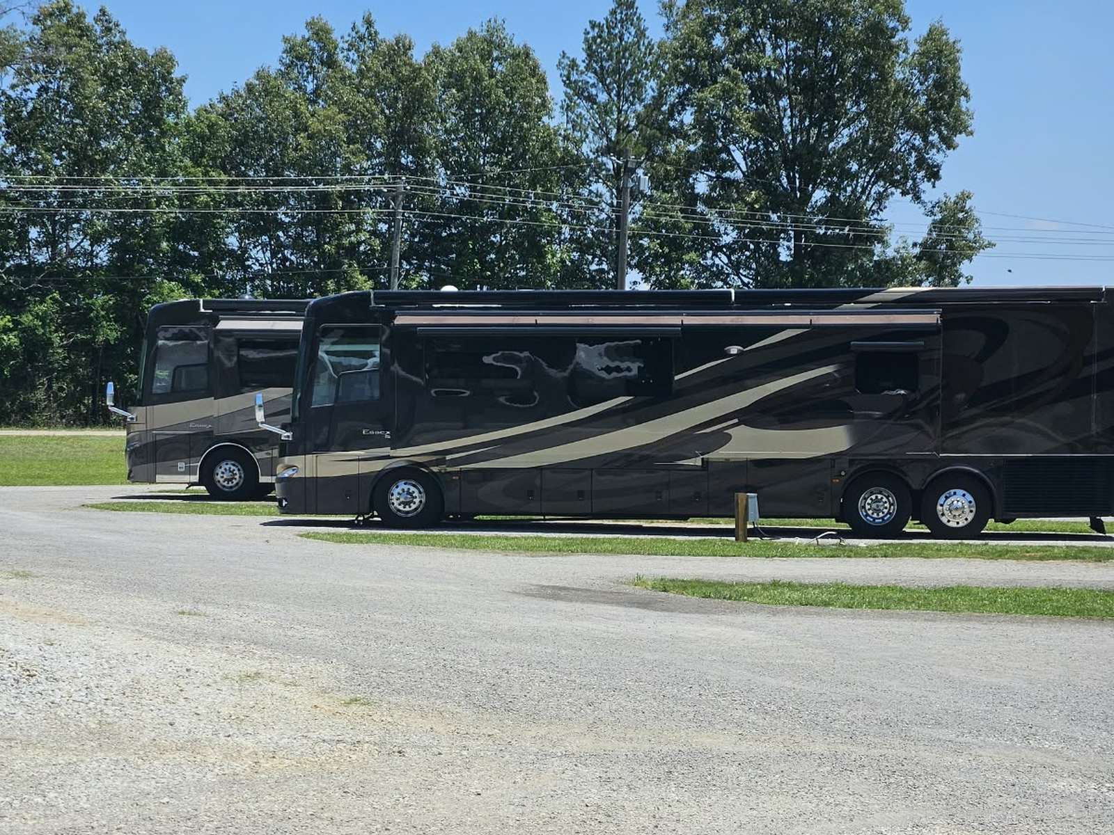 Two 45-foot Newmar Essex motorhomes parked side by side in the pull-thru spaces at Wilbrook RV Park, tag axles and full-length paint on both, mature trees behind under a clear blue sky.